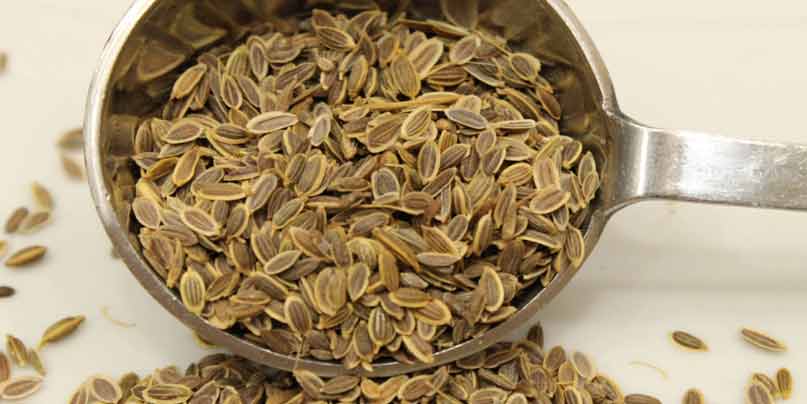 Dill-seeds-to-improve-breast-milk-supply-naturally-for-new-mothers