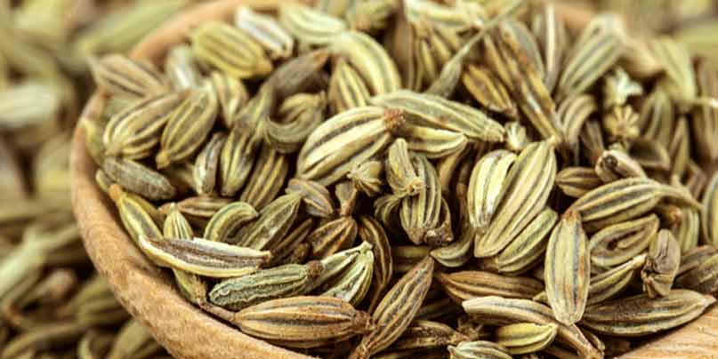 Fennel-seeds-to-improve-breast-milk-supply-naturally-for-new-mothers