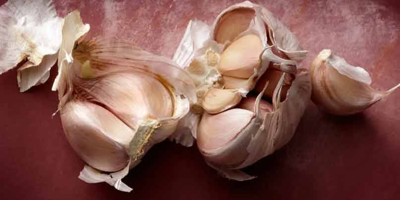 Garlic-to-improve-breast-milk-supply-naturally-for-new-mothers