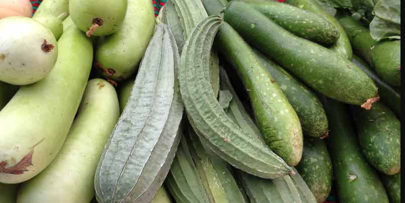 Gourd-vegetables -to-improve-breast-milk-supply-naturally-for-new-mothers