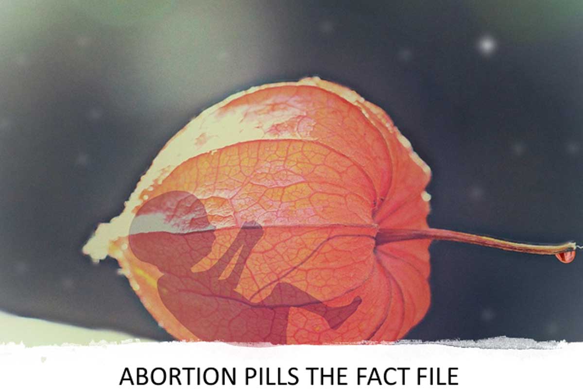 post-abortion-pills-the-fact-file-with-proper-guide