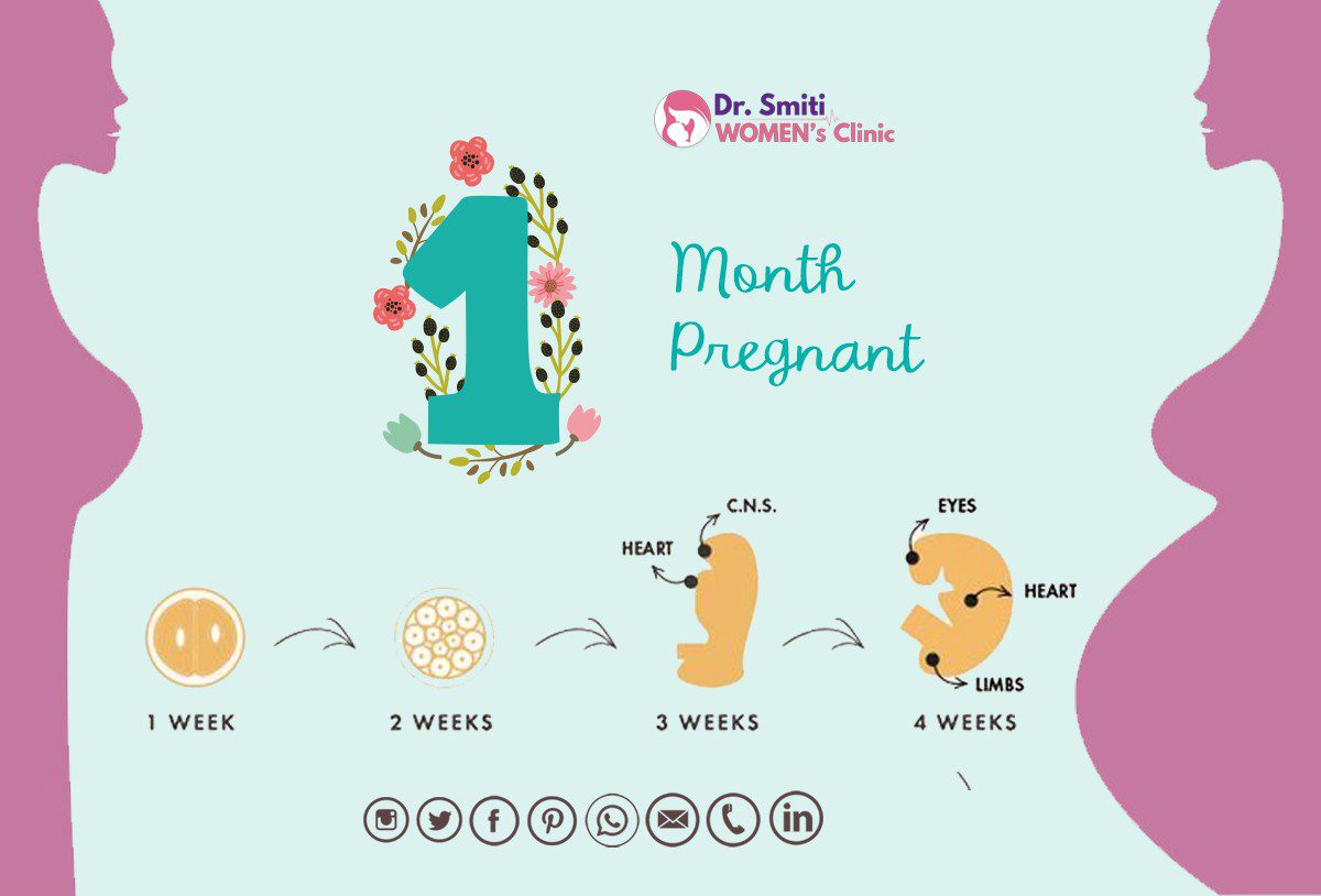post-first-month-pregnancy-baby-mother-development-symptoms-health-diet-tips